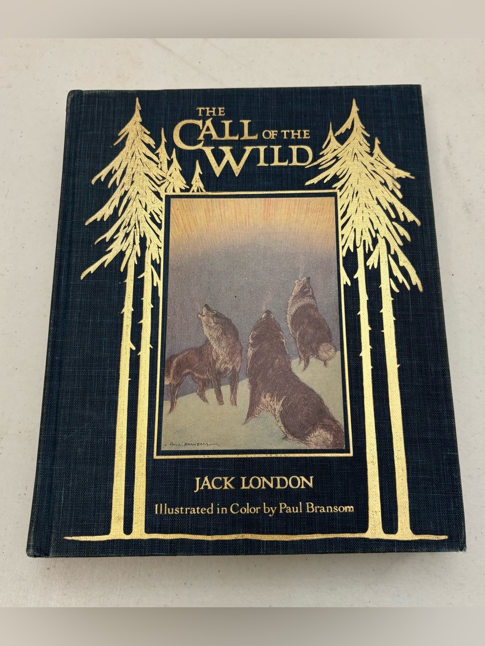 The Call of the Wild Illustrated Classics Books Hardcover 1987 Jack London